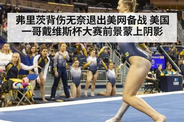 弗里茨背伤无奈退出美网备战 美国一哥戴维斯杯大赛前景蒙上阴影